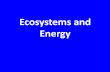 Ecosystems and Energy - nausetschools.org · Matter and Energy •Energy enters, flows through, and exits an ecosystem •Chemical nutrients cycle within ecosystems through biogeochemical