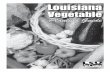 Louisiana - lsuagcenter.com · 2 Louisiana Vegetable Planting Guide Producing vegetables is a favorite pastime for many people. Homegrown vegetables have better flavor because they