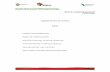 Capítulo III Plan de Cuentas WORD - veracruz.gob.mx · 1.2.7 Activos Diferidos 1.2.7.1 Estudios, Formulación y Evaluación de Proyectos 1.2.7.2 Derechos Sobre Bienes en Régimen