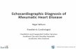 Echocardiographic Diagnosis of Rheumatic Heart Disease · 5. Reményi B et al. World Heart Federation criteria for echocardiographic diagnosis of rheumatic heart disease-an evidence-based