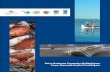 Datça-Bozburun Yarımadası Balıkçılığının Sosyo-Ekonomik ...dcm.dka.gov.tr/App_Upload/09_Datca Bozburun Yarimadasi Balikciliginin... · iv Datça-Bozburun Yarımadası Balıkçılığının