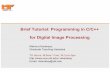 Brief Tutorial: Programming in C/C++ for Digital Image ...web.eecs.utk.edu/~hqi/ece472-572/reference/ProgrammingTutorial.pdf · Using command-line arguments: • It is possible to