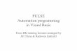 PULSE Automation programming - vsb.czhomel.vsb.cz/~tum52/download/PULSEAutomation.pdf · PULSE Automation programming in Visual Basic From BK training lectures arranged by JiříTůma