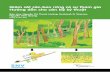 Giám sát các-bon rừng có sự tham gia Hướng dẫn cho cán bộ ... · Việc thực hiện giao đất giao rừng, quản lý bảo vệ rừng hiện có và phát triển