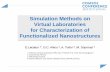 Simulation Methods on Virtual Laboratories for ... · Simulation Methods on Virtual Laboratories for Characterization of Functionalized Nanostructures Virtual Lab Emergency •Using