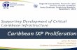 Supporting Development of Critical Caribbean Infrastructure · Caribbean Telecommunications Union (CTU) Caribbean IXP Proliferation Supporting Development of Critical Caribbean Infrastructure