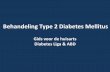 Behandeling Type 2 Diabetes Mellitus O 12u00... · Behandeling Type 2 Diabetes Mellitus Gids voor de huisarts Diabetes Liga & ABD