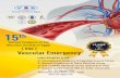 VSEvse-egypt.com/VSEFinalProgram2019.pdf · Adel Qamhawy Vascular Emergency Interventions Adel Husseiny Kamhawy Ali Mourad Ashraf Hedayat Atef Allam Ayman Fakhry Ayman Samir Magdy