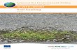 Soil Sealing - European Commissionec.europa.eu/environment/integration/research/newsalert/pdf/IR2_en.pdf · The consequences of soil sealing can be considerable and policies are needed