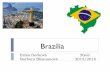 Brazília - web.science.upjs.skweb.science.upjs.sk/novotny/ZGRS/Brazilia.pdf · Najväčšie mestá krajiny Najväčším mestom je Sao Paulo s 11,3 miliónmi obyvateľov (2011) Iné
