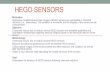 HEGO SENSORS - institute.loni.orginstitute.loni.org/lasigma/ret/documents/presentations2014/DanRogers... · HEGO SENSORS Motivation Automotive Heated Exhaust Gas Oxygen (HEGO) sensors