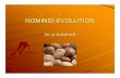 HOMINID EVOLUTION - Cameron Universitybmcdonal/course_description/homonid evolution/humanev… · Hominid Evolution: The Simplified Version Ardipithecus sp. Pongidae Hominidae Australopithecus