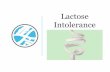 Lactose Intolerance - nada.canada.ca/wp-content/uploads/2019/08/2018_TH_LACTOSE_INTOLERANCE_PPT.… · Lactose Intolerance v.s. Milk Allergy • Those that are lactose intolerance