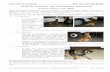 Wildlife Detector Dog Performance · PDF fileWildlife Detector Dog Performance Objectives Wildlife Detector Dog [PWDD] These Performance Objectives are established in a Reality-based