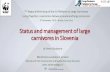 Status and management of large carnivores in Slovenia fileStatus and management of large carnivores in Slovenia dr. Peter Skoberne Ministrstvo za okolje in prostor (Ministry for the