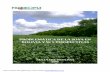 PROBLEMأپTICA DE LA SOYA EN BOLIVIA Y SUS PERSPECTIVAS mأ،rgenes del cultivo de soja en los paأ­ses