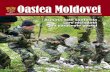 Oastea Moldovei - army.md2017).pdf · Elementul comun al tuturor acestor fenomene ce dau bătăi de cap autorităţilor şi cetăţenilor ţării este că, de fiecare dată, se interpretează
