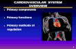 CARDIOVASCULAR SYSTEM OVERVIEWclasspages.warnerpacific.edu/BDupriest/BIO 420/Unit 2 Cardiovascular... · CARDIOVASCULAR SYSTEM OVERVIEW ... Rhythmical Excitation of the Heart Electrical