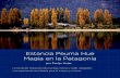 Estancia Peuma Hue Magia en la Patagoniaargentinambiental.com/wp-content/uploads/pdf/AA49-108-Estancia_Peuma... · en la vida de las personas; abriendo nuevas po-sibilidades y aprendizajes,