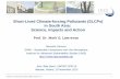 Short-Lived Climate-forcing Pollutants (SLCPs) in South ... · 1 Institute for Advanced Sustainability Studies e.V. Short-Lived Climate-forcing Pollutants (SLCPs) in South Asia: Science,