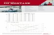 2019 MODEL YEAR 210 MONTAUK - bostonwhaler.imgix.net · condition and hull bottom condition. Boston Whaler makes no guarantee whatsoever that this performance will be repeated on