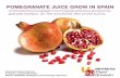 POMEGRANATE JUICE GROW IN SPAIN - Zumo de Granada · POMEGRANATE JUICE GROW IN SPAIN Antioxidant punicalagin in pomegranate juice and pome - granate extract, for the functional diet