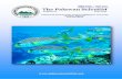 The Palawan Scientist, Vol. 10 · The Cuyo Islands form part of the political province of Palawan and is comprised of three municipalities namely, Agutaya, Cuyo and Magsaysay. Six