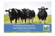 Principles & Practices for Sustainable Dairy Farming · Principles & Practices for the Sustainable Dairy Farming, - Version 2009 3/15 It is important to note that good management