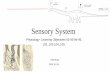 Sensory System - phys.szote.u-szeged.hu · SENSORY SYSTEMS I. Detection of stimuli II. Transduction into neural signal III. Neural processing RECEPTORS SENSORY AFFERENTS CNS Stimulus