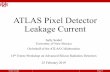 ATLAS Pixel Detector Leakage Currentseidel/trento-feb2019.pdf · ATLAS Pixel Detector Leakage Current Sally Seidel University of New Mexico On behalf of the ATLAS Collaboration 14th