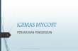 iGFMAS MYCOST · (tqm/abm) strategic & sustainbility (eg/ssc) 10 international federation of accountants (ifac, 1998) perspective prior 1950 1965 - 1985 1985 - 1995 1995 – 2000