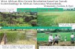 Leone, Jan.89 Water control through Sawah system is ... · Key words & Key concepts. Eco-technology, or, Ecological Engineering: Sustainable technology to improve ecological environment
