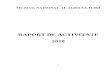 RAPORT DE ACTIVITATE 2018 - muzeulagriculturii.romuzeulagriculturii.ro/system/files/pagini/2014-05-18/7/raportdeactivitate2018.pdf · Dosar de presă Legendă culori: - acțiuni realizate