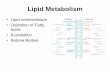 Lipid Metabolism - Western Oregon Universitywou.edu/~guralnl/gural/451Lipid Metabolism.pdf · Lipid Metabolism • Lipid nomenclature • Oxidation of Fatty acids • β-oxidation