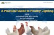 A Practical Guide to Poultry Lighting - Hy-Line …100 lux 1 m2 Illuminance Power Illuminance power – the luminous flux per area illuminated by the light, measured in lux or foot