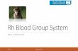 Rh Blood Group System - KSU Facultyfac.ksu.edu.sa/sites/default/files/rh_blood_group_system.pdfRh genes 2 closely linked genes at Rh locus on Chromosome 1; RHD, RHCE RHD encodes D