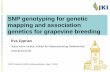 SNP genotyping for genetic mapping and association ...ipwgnet.org/cost/s/Sofia2012ppt/SNP genotyping for genetic... · SNP genotyping for genetic mapping and association genetics