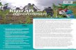 Volume 9 No. 2 - Agustus 2016 - World Agroforestry …old.worldagroforestry.org/downloads/Publications/PDFS/NL...Poli-polia, Kabupaten Kolaka Timur memiliki luas wilayah sekitar 81,1