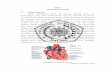 TINJAUAN PUSTAKA 2.1 Anatomi Jantungeprints.umm.ac.id/41401/3/BAB II.pdfMekanisme pembentukan trombus pada plak terkikis lebih kontroversial. Apapun penyebab penggundulan endotel,