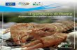 Il gambero di fiume · 2016-09-02 · Il gambero di fiume comunemente conosciuto anche come “gambero dalle zampe bianche” è uno dei più grossi invertebrati d’acqua dolce presente