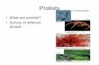 What are protists? • Survey of different groupswou.edu/~guralnl/101Protists.pdfPhylogenetic tree • Diverse collection of organisms in the domain Eukarya • Not plant, animal or
