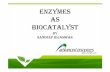 ENZYMES AS BIOCATALYST · 2018-03-26 · Enzymes ( proteins in nature) Enzyme Technology – a sub-field of biotechnology- new process utilizing Enzymes as Biocatalysts to meet with