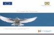 Poveşti de Succes - European Commissionec.europa.eu/employment_social/esf/docs/succes_stories_phare_ro.pdf · Model de autodezvoltare comunitară cu aplicaţie în comunitatea romă