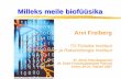 Milleks meile biofüüsikautbiophys.eu/sites/default/files/doc/Fyysikapaevad2007.pdf · Milleks meile biofüüsika Arvi Freiberg TÜ Füüsika Instituut TÜ Molekulaar- ja Rakubioloogia