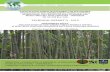 PARTICIPATORY FOREST MANAGEMENT FOR SUSTAINABLE UTILIZATION … · participatory forest management for sustainable utilization of non timber forest products (ntfps) surrounding the