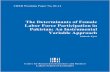 The Determinants of Female Labor Force Participation in Pakistan… · 2017-01-23 · 4 The Determinants of Female Labor Force Participation in Pakistan This study is an attempt to