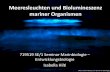 Meeresleuchten und Bioluminiszenz mariner Organismen ·