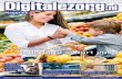 Magazine - DigitaleZorg.nl · 2014-11-20 · business model. Echte co-creatie dus. Dat is volgens mij ook cruciaal voor het succes van in-novatie in de zorg. Nog steeds zie ik te