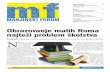 Obrazovanje malih Roma najteži problem školstva · 2012-07-07 · jezika”, kombinacije hrvatskog i romskog. S takvim znanjem ne mogu pratiti nastavu, a učitelji koji s njima