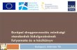 Európai drogprevenciós minőségi standardok kidolgozásának ...drogfokuszpont.hu/wp-content/uploads/20130319_Felvinczi_standardok.pdf · A drogprevenciós minőségi standardok